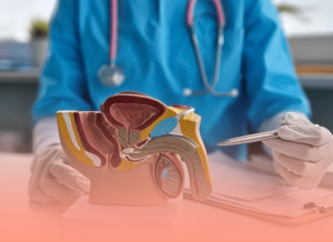 جراحات الخصية والجهاز التناسلي